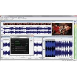 Sound Forge Audio Studio 10 PL